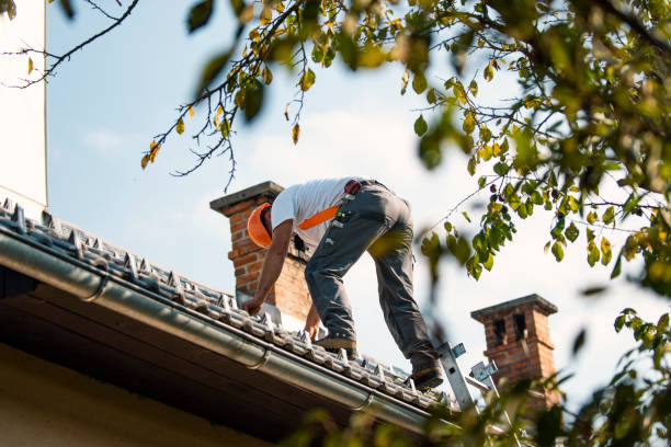 Best Storm Damage Roof Repair  in Alburtis, PA