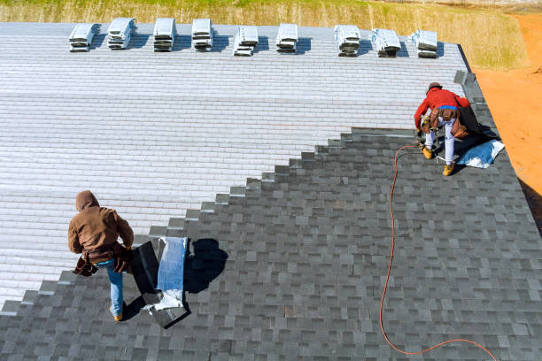 Best Storm Damage Roof Repair  in Alburtis, PA