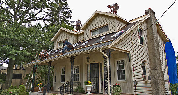 Best Local Roofing Companies  in Alburtis, PA