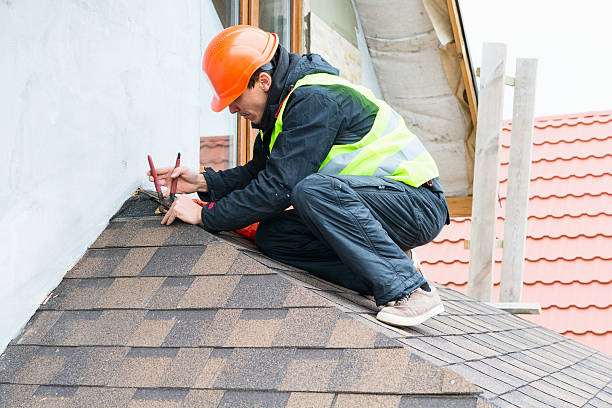 Best Local Roofing Companies  in Alburtis, PA
